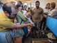 A young attendee of the Public Quantum Network launch event controls the measurement of photons travelling through The Urbana Free Library that are entangled with photons on the University of Illinois Urbana-Champaign campus.